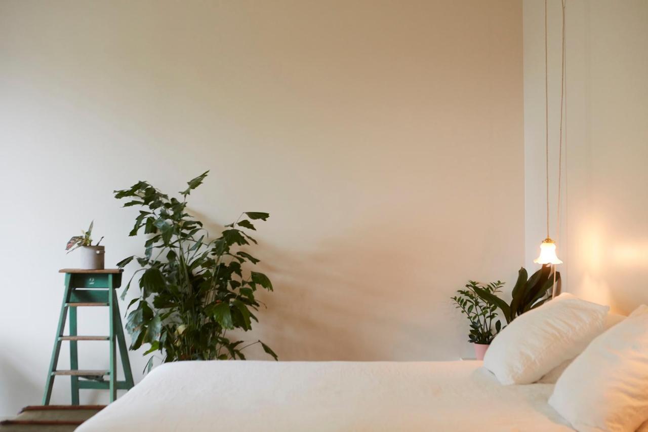 Chambre D'Amis By Alix Gent Exteriér fotografie