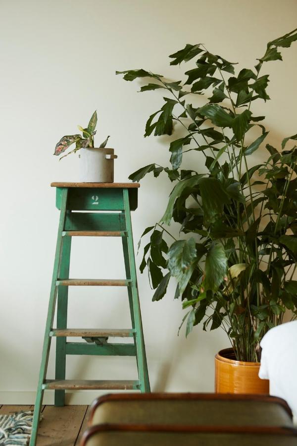 Chambre D'Amis By Alix Gent Exteriér fotografie